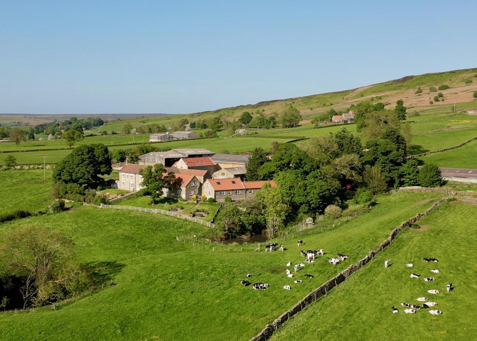 Church House Farm Danby Экстерьер фото
